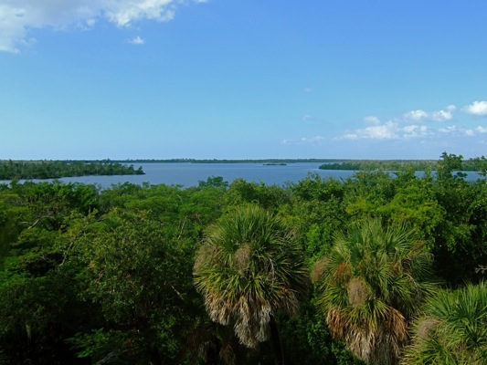 view from water tower cabbage key