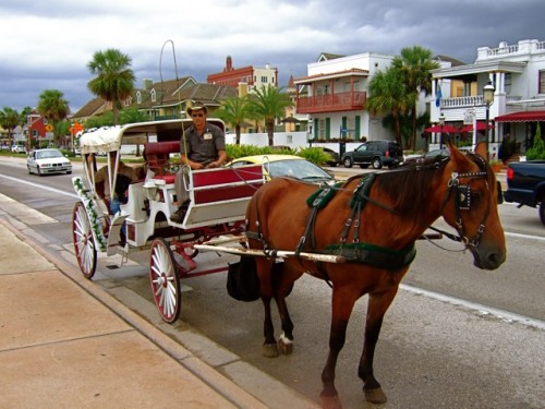 st. augustine horse-drawn carriage tour