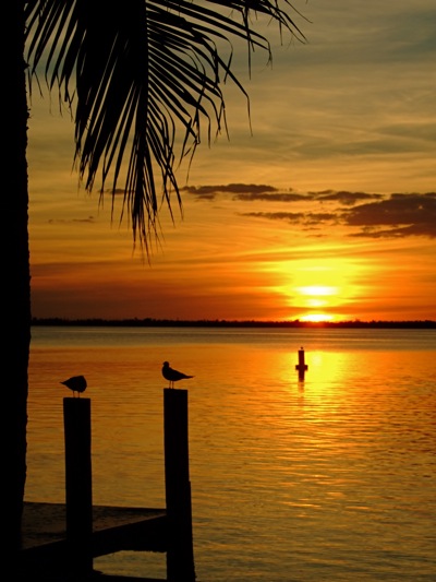 sunset gulf coast