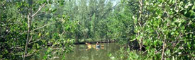 Miami Oleta River State Park 