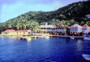 Visit Tortola in the Caribbean