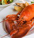 A Fish Called Avalon in South Beach