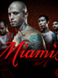 Miami Ink TV Show Review