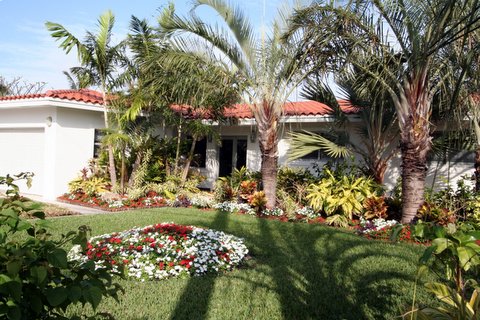 Villa Oasis