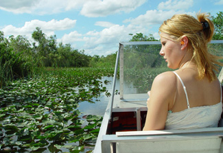 Everglades National Park Tour in Miami, Florida