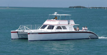 Everglades National Park, Miami City Tour and Biscayme Bay Cruise